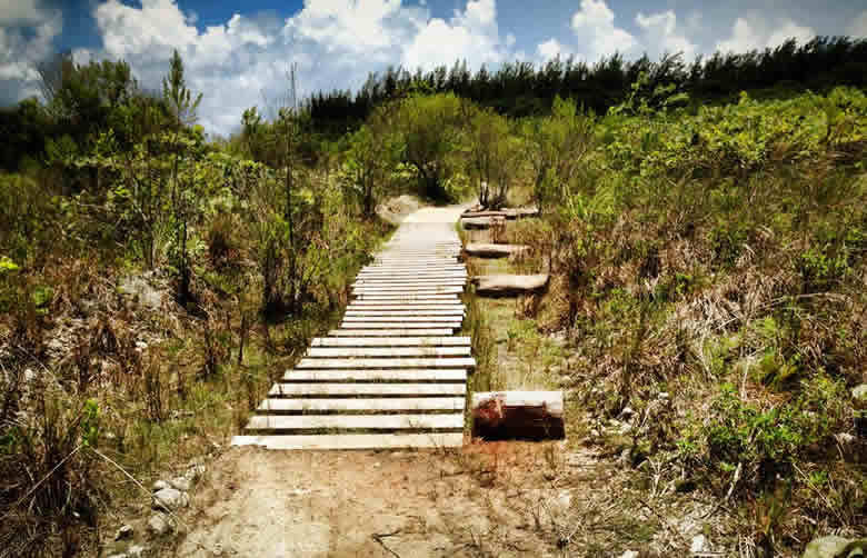 Source: vkbc.squarespace.com