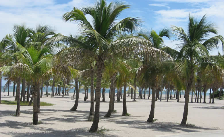 Crandon Park Beach