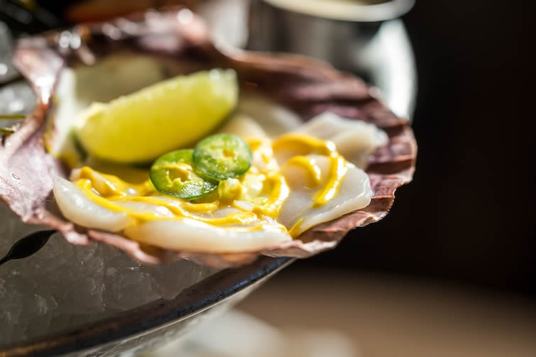 Sea Scallop Tiradito