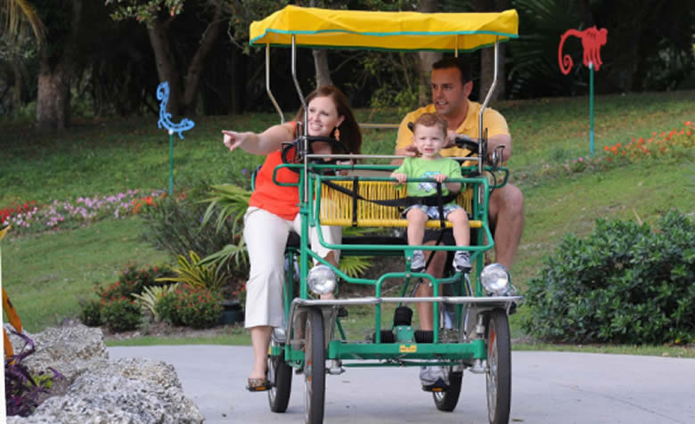 Safari Cycle Zoo Miami really helps moving around one of the largest zoos in the world