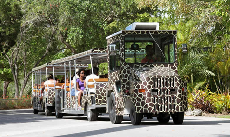 Safari Tram Tours at the best zoo in Florida