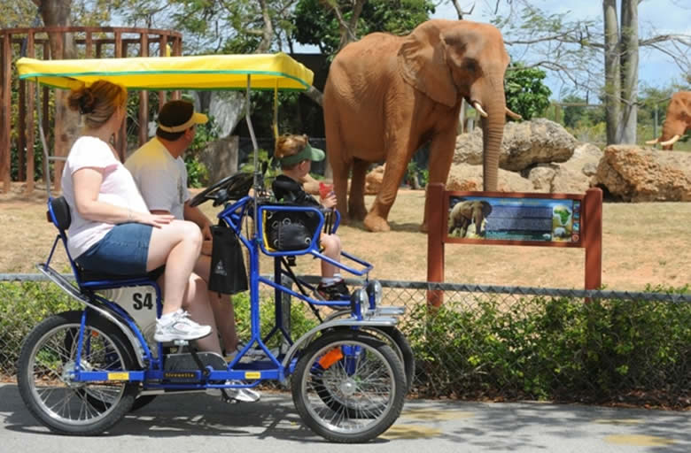 Waching animals on Quad Cycles at Zoo Miami, the largest zoo in Florida and one of the largest in the world