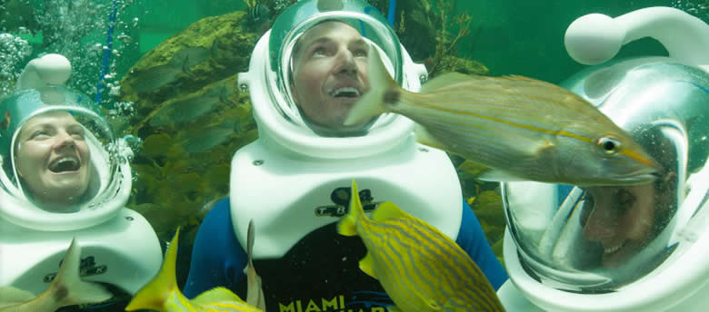 Sea Trek Reef Encounter