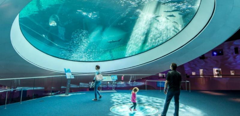 Frost Museum Miami - One of the best museums in Miami to go with kids. Adults love it too
