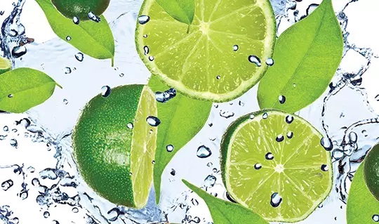 Mojito Bar Tropical Eats & Latin Beats