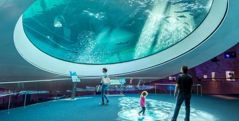 The Frost Museum Miami: Have fun and learn at the same time