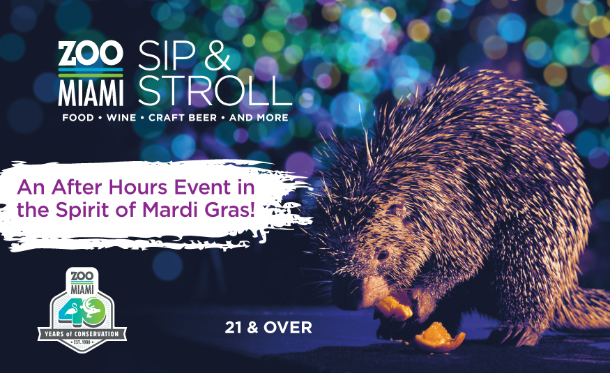 Sip & Stroll at Zoo Miami