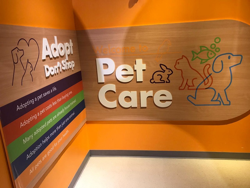 Pet care at the Miami Children's Museum 
