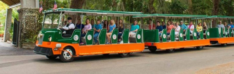 Old Town Trolley st augustine things to do - one of th main attractions