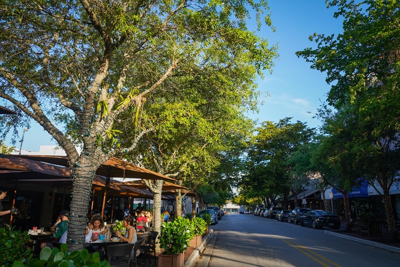 Bohemian or Business: Identities Collide in Miami’s Coconut Grove